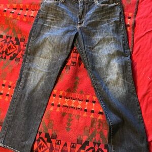 Lucky Brand Dark Wash Straight Jeans